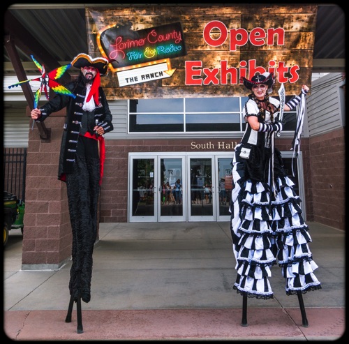 Swashbuckling at
Larimer County Fair & Rodeo